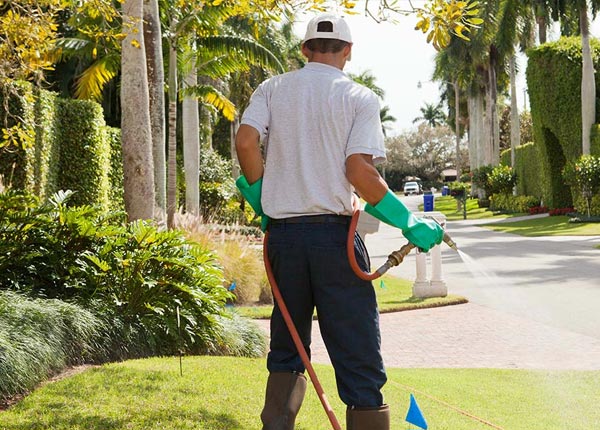 About Warm Springs GA Pest Control Pros